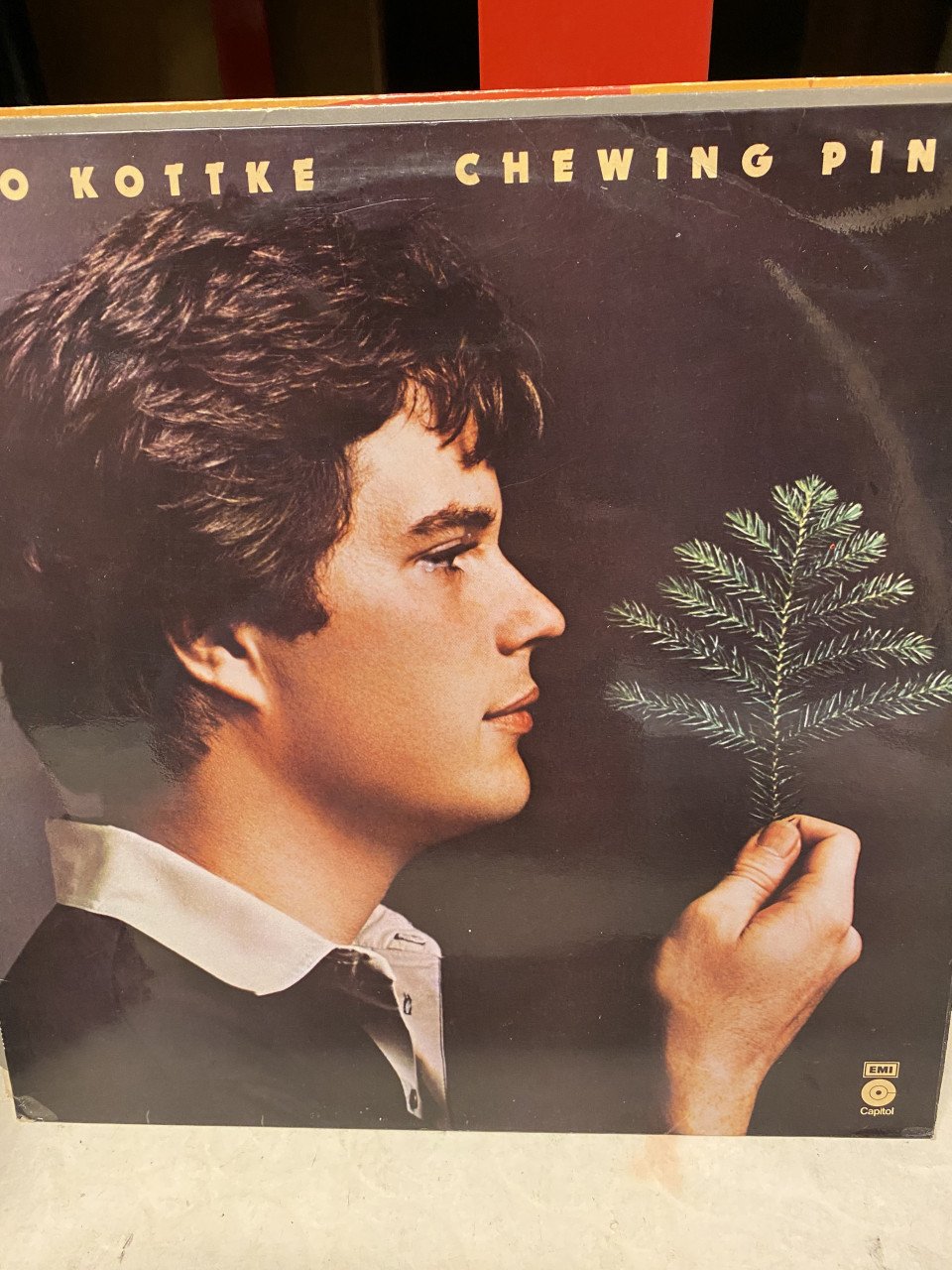 Leo Kottke lp