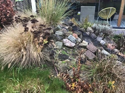 Vijverstenen, vijverplanten , kruik, etc