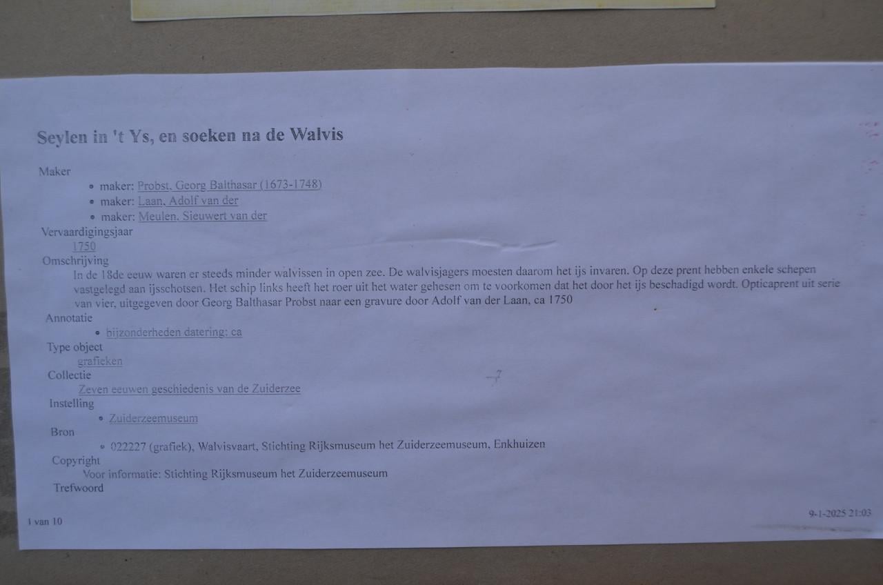 Nederlandse opticaprent 'Walvisvaart/vangst'