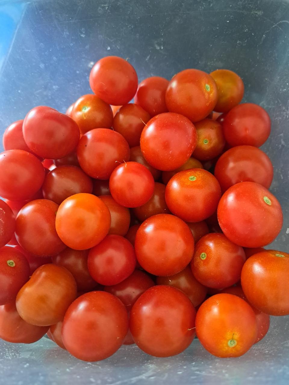 Pruimen.  Spaanse pepers. Cherry tomaten