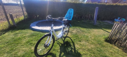 Stella Fiore Elektrische mamma fiets