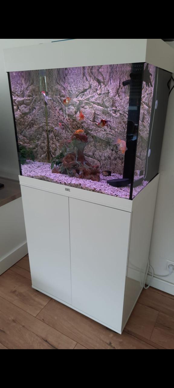 Juwel aquarium lido 120 wit