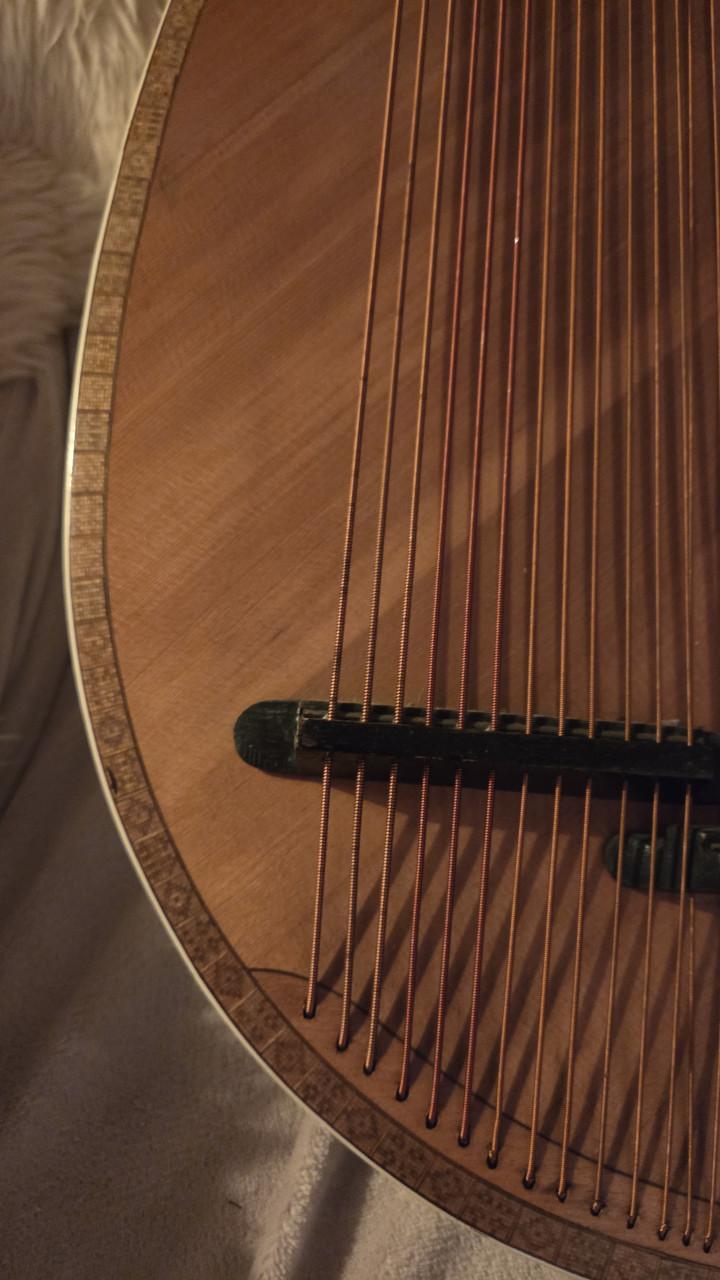 Prachtige Bandura te koop!