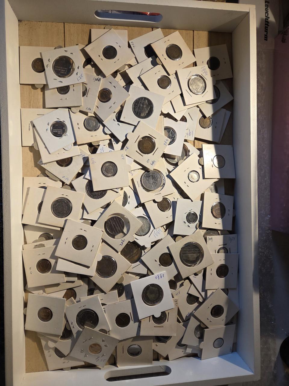 1,3 kilo munten
