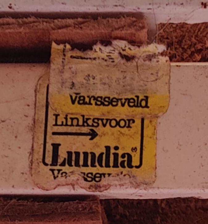 Lundia, grenen stelling