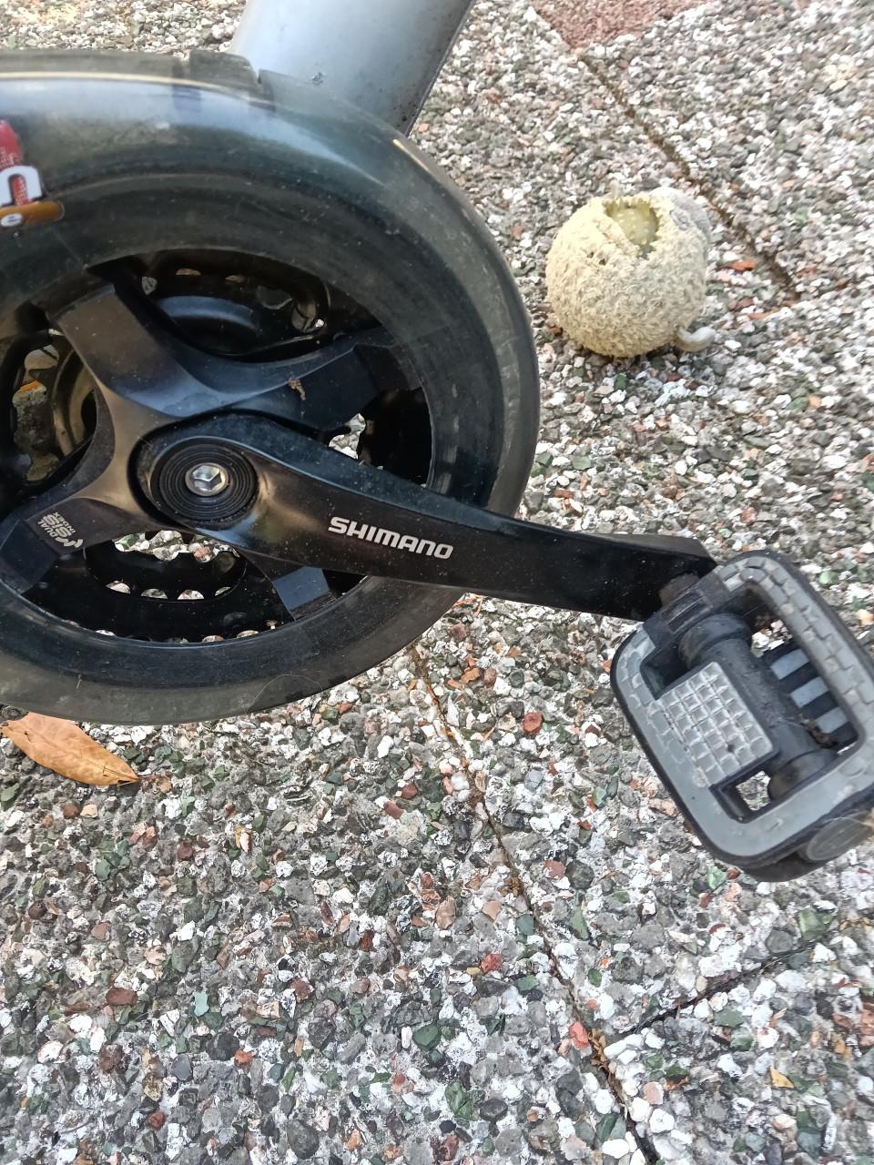 Damesfiets Altra meridion