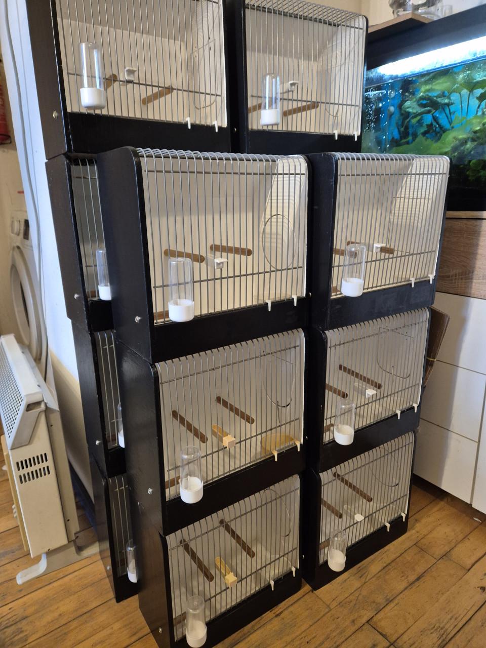 Universele TT kooien €8,- p/st en transporthoezen €4,- p/st