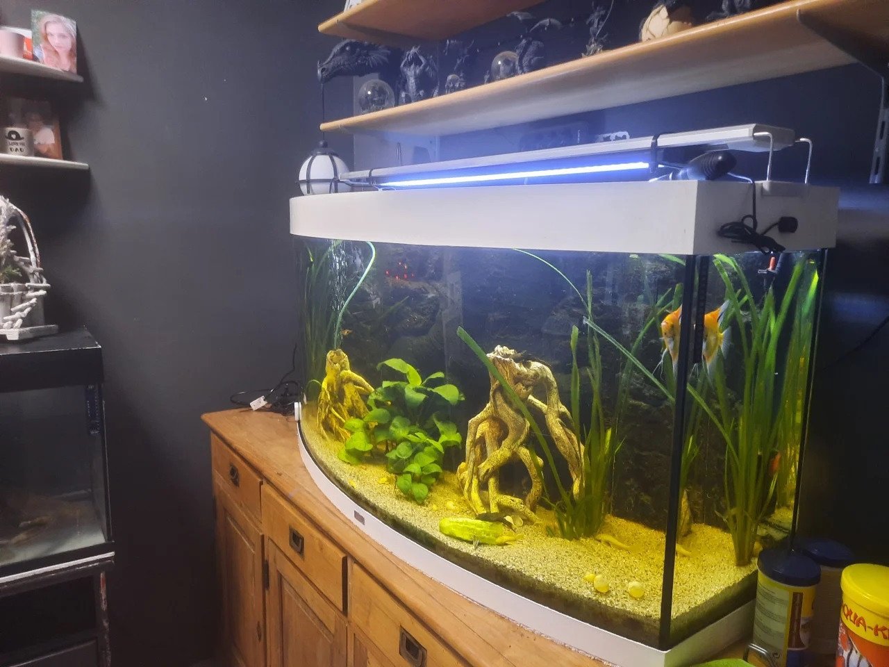 2x aquarium met  veel accessoires