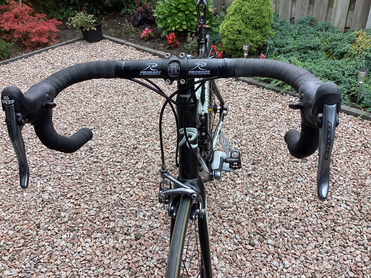 Carbon Prorace Viper racefiets 52.5 cm, c/t sloping frame, in nette staat.