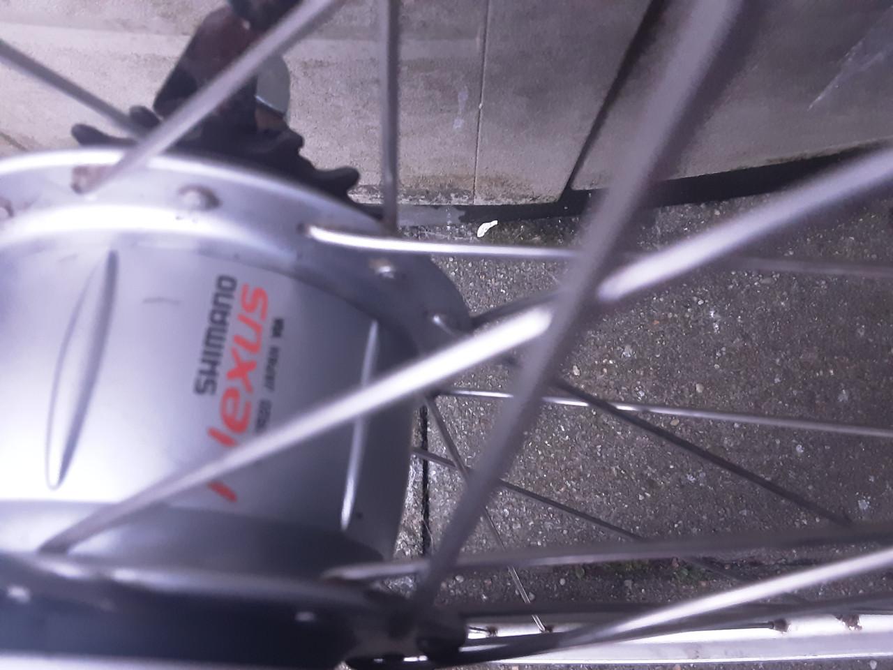 Gazelle 28 inch shimano nexus achterwiel, 8 speed,rollerbrake rem