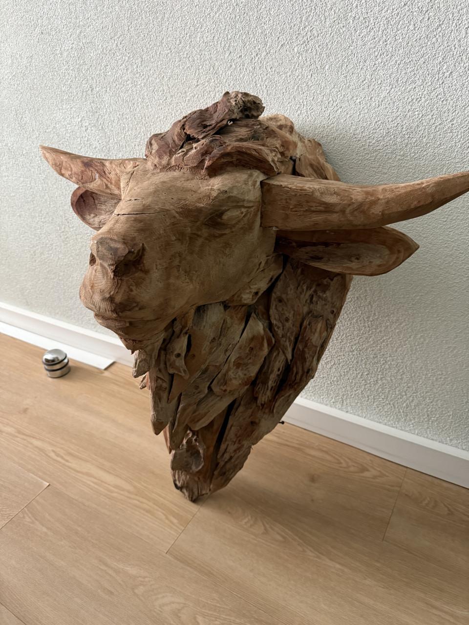Grote teak houten Bison kop