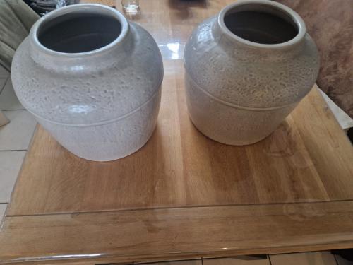 2 grote Riverdale potten