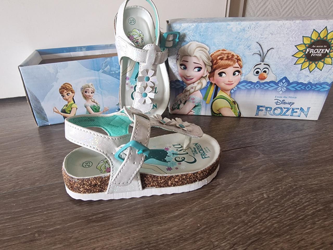 Frozen slippers