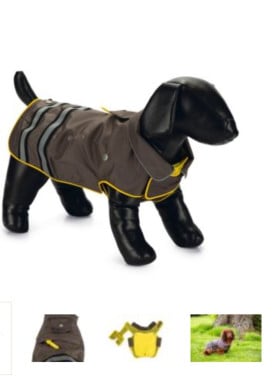 Honden regenjasje