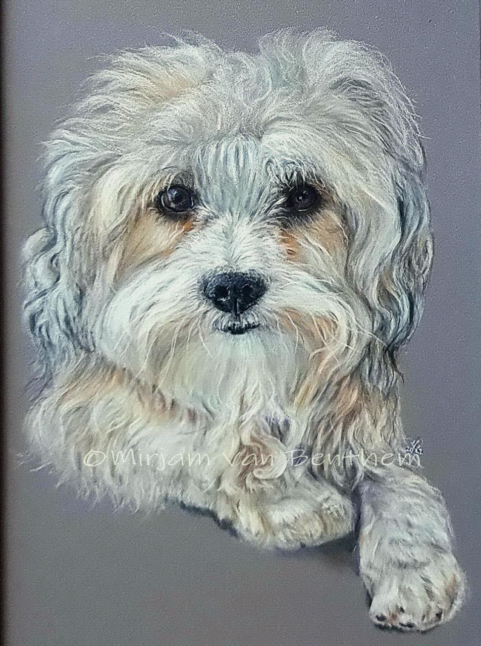 Dierportret in opdracht