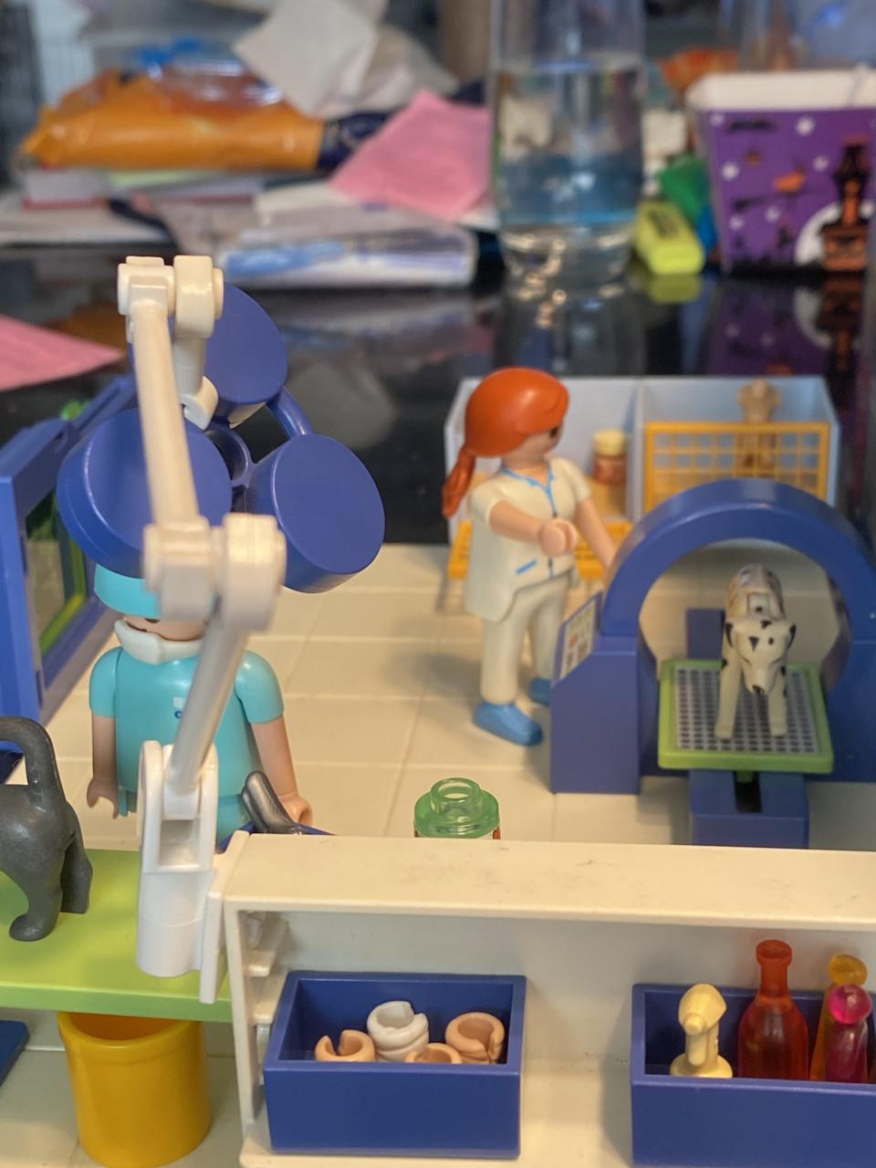 Playmobil dierenkliniek