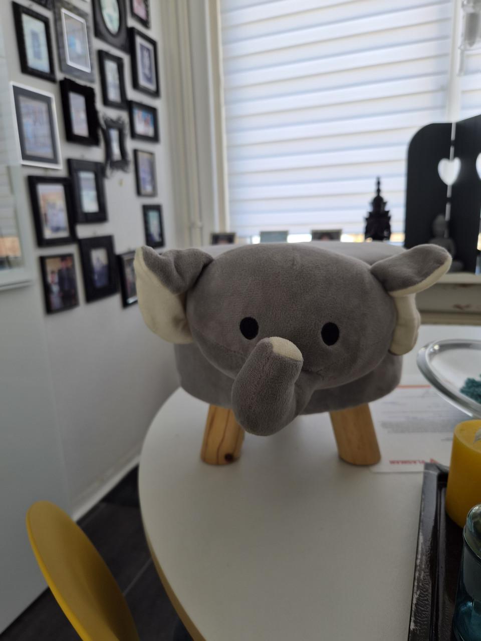 🐘 Schattig olifant krukje – grijs