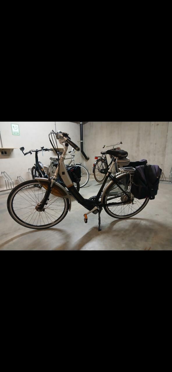 Elektrische damesfiets