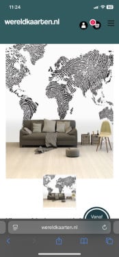 Wereldkaart op één stuk behang (265 x 350cm)