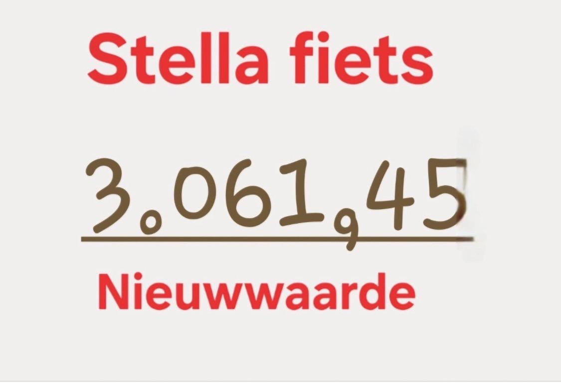 Stella Livorno E bike / Elektrische fiets Bosch middenmotor
