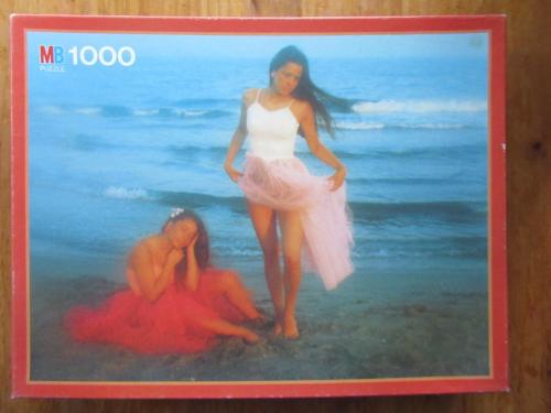 Leuke volledige puzzel van 1000 stukjes, zo goed als nieuw