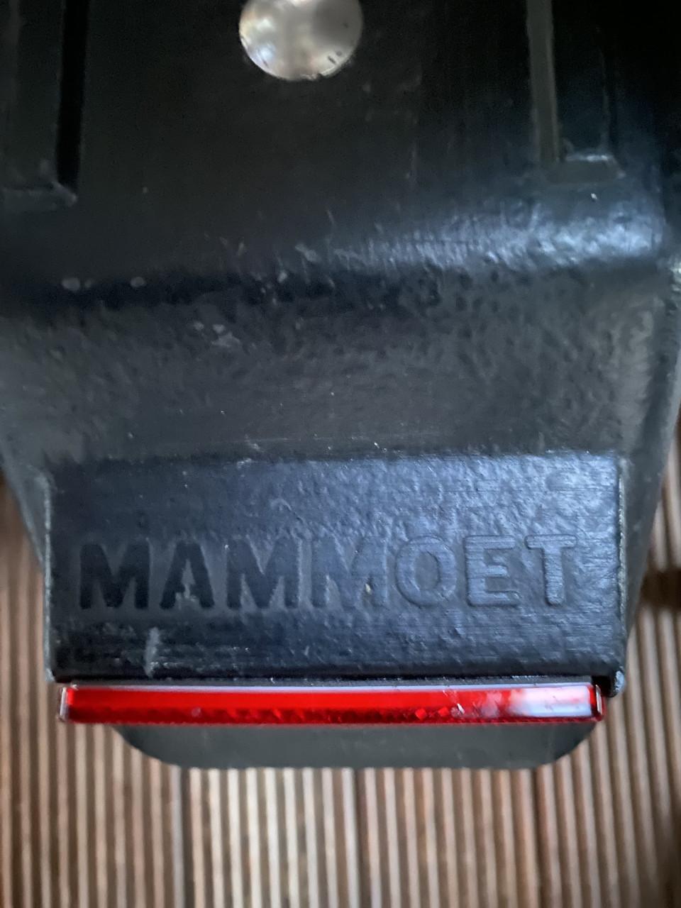 Skelter ( mammoet) met kar.