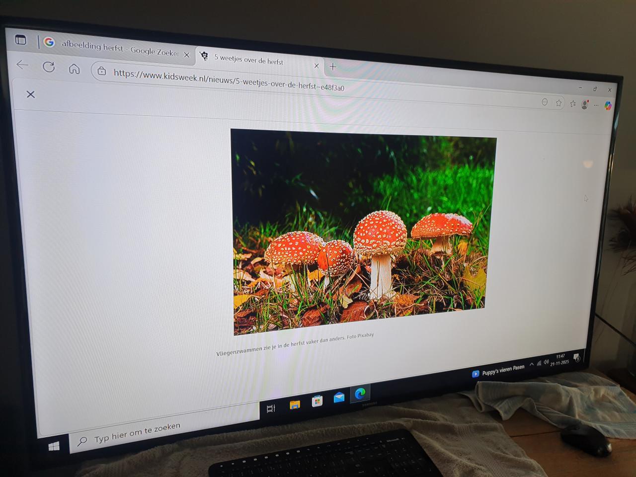 65 inch Samsung LED beeldscherm FullHD