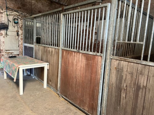 Paardenboxen