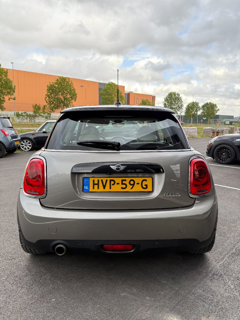 Mini Cooper 1.5 - chili - pano