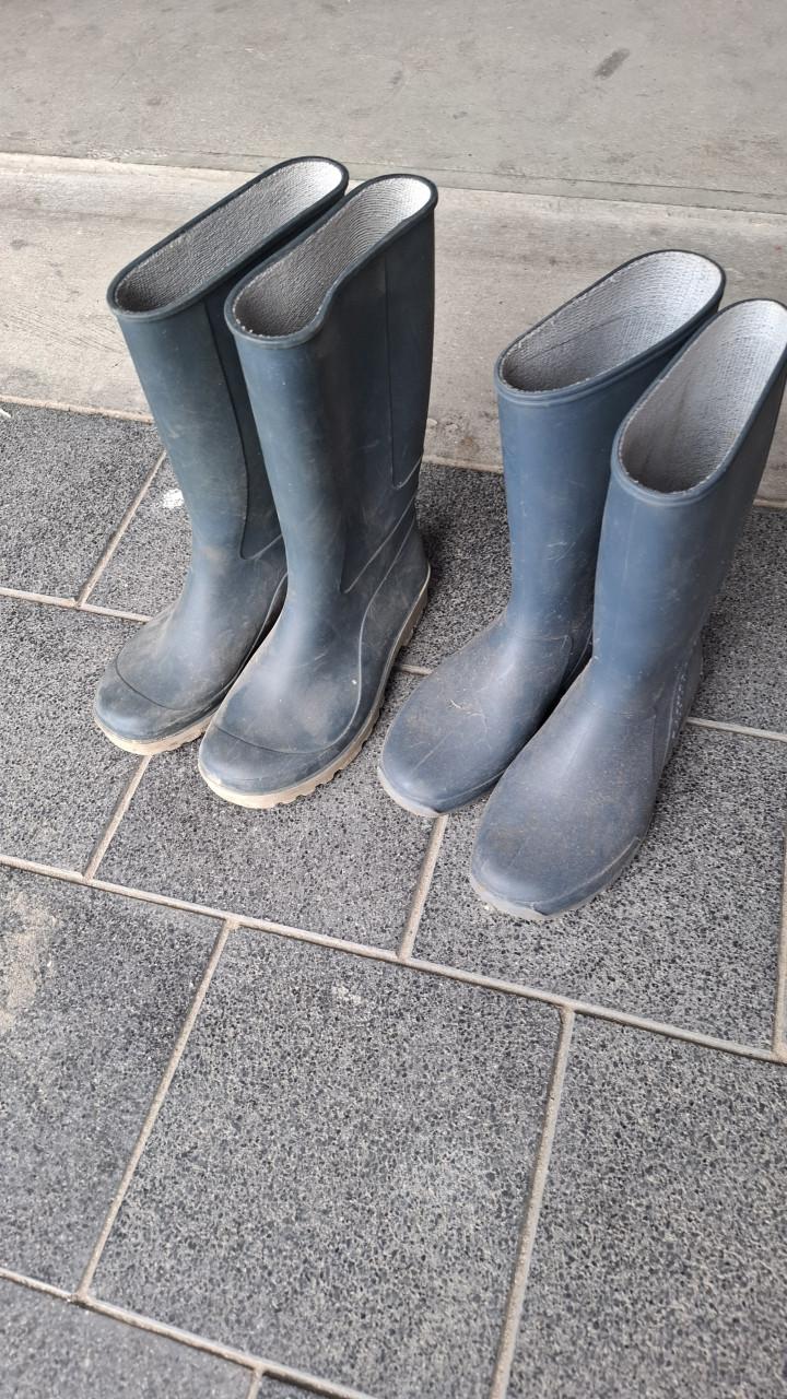 Regenlaarzen voor jongen of meisje maat 31 en 33