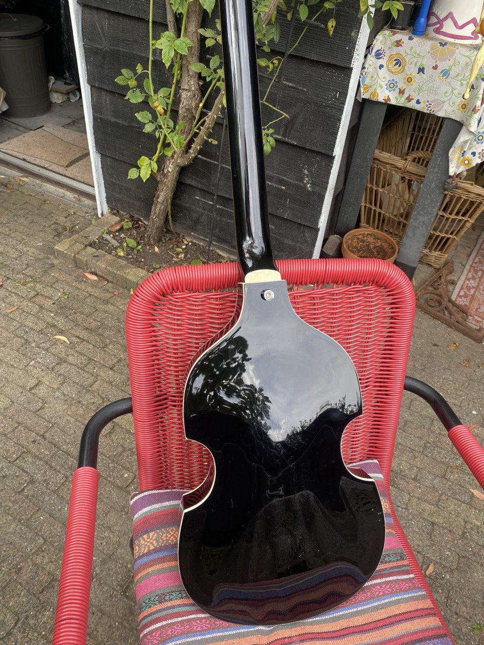 Hofner bas