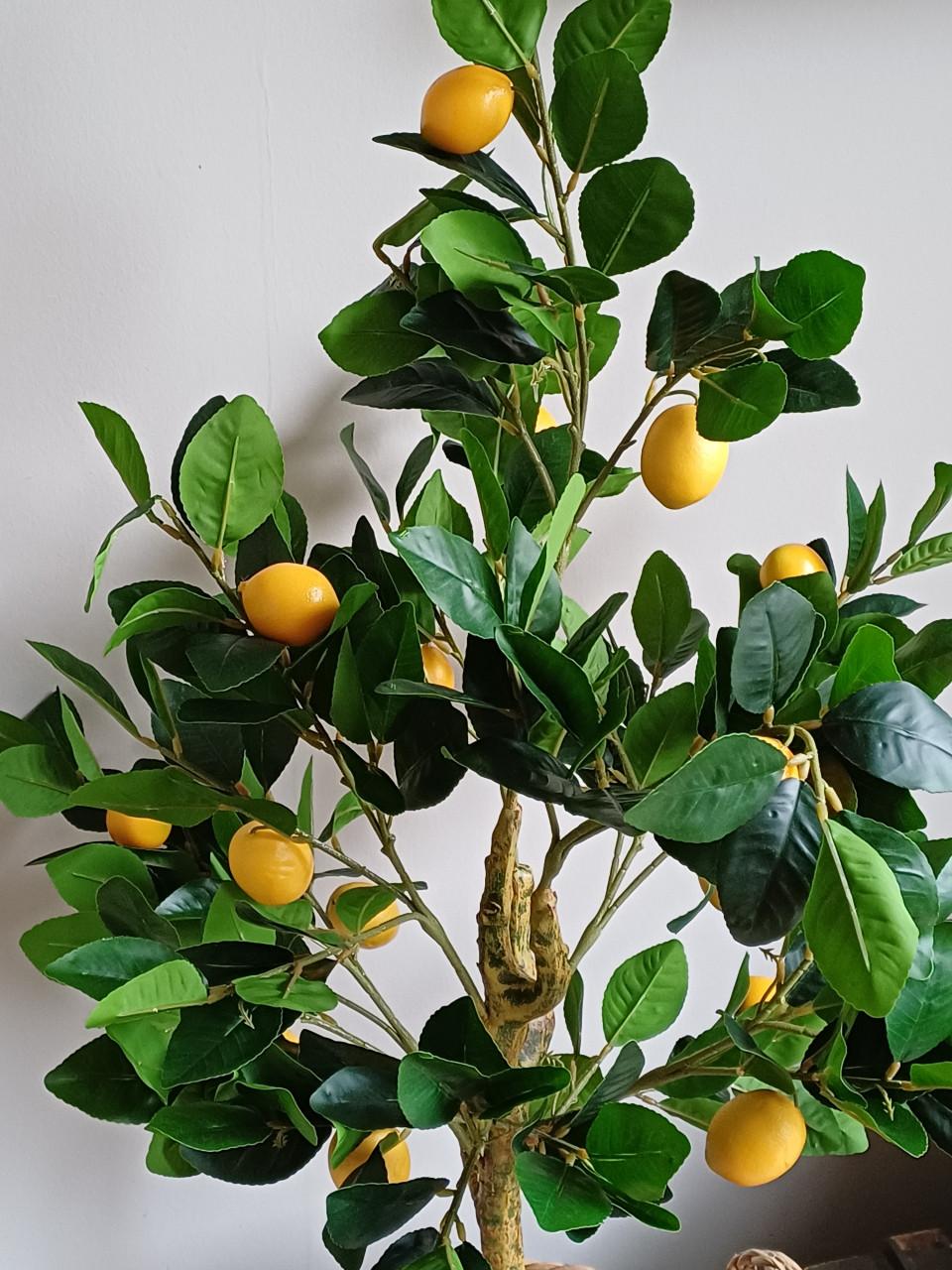 Kunst citroen boompje