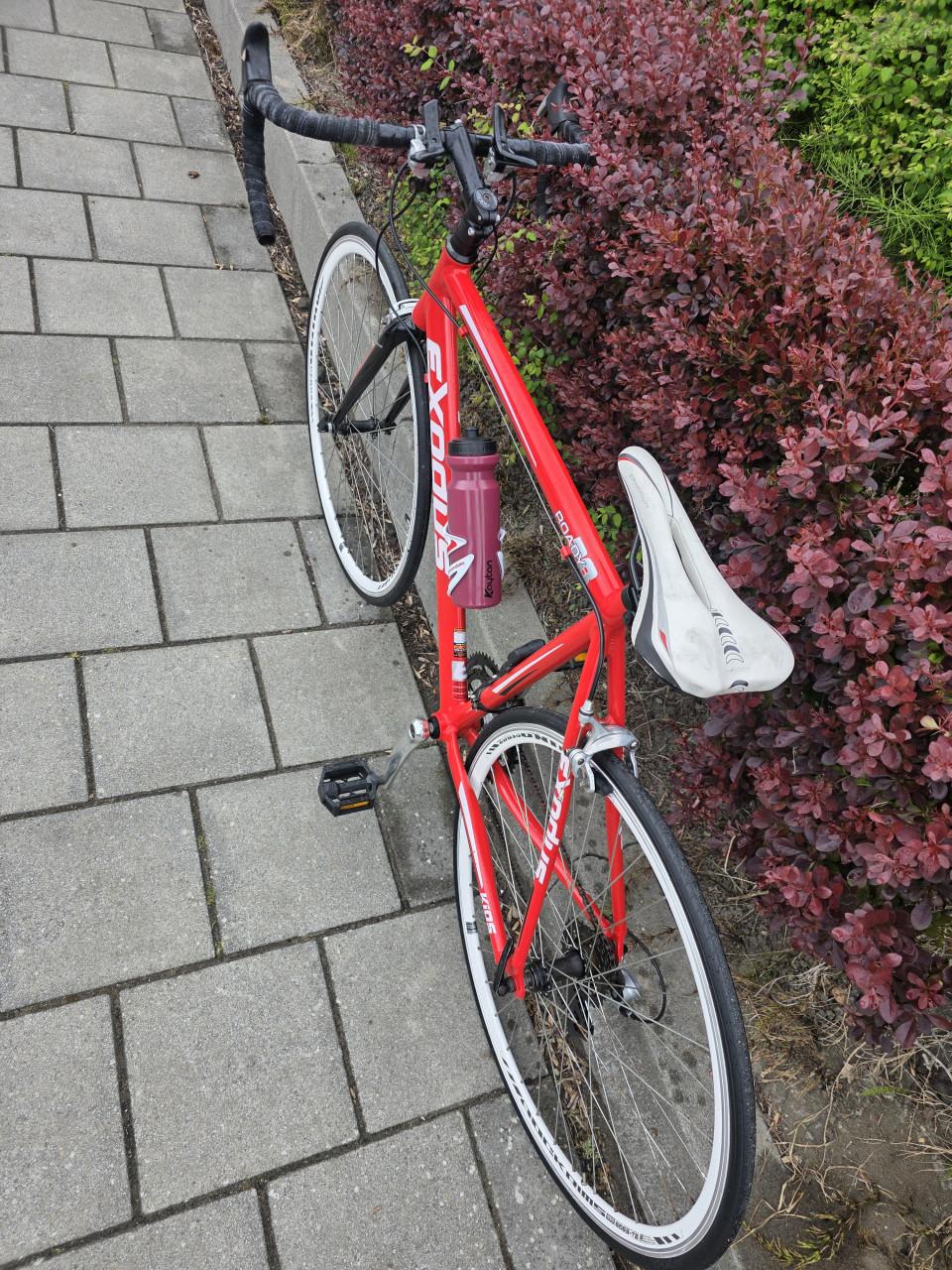 RACEFIETS | EXODUS | 28 INCH | FRAME 56 CM | 2X7 V