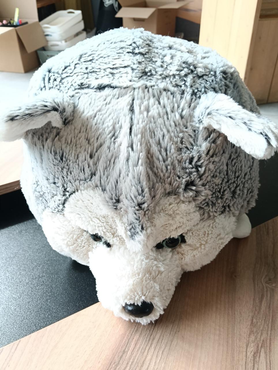 Knuffel