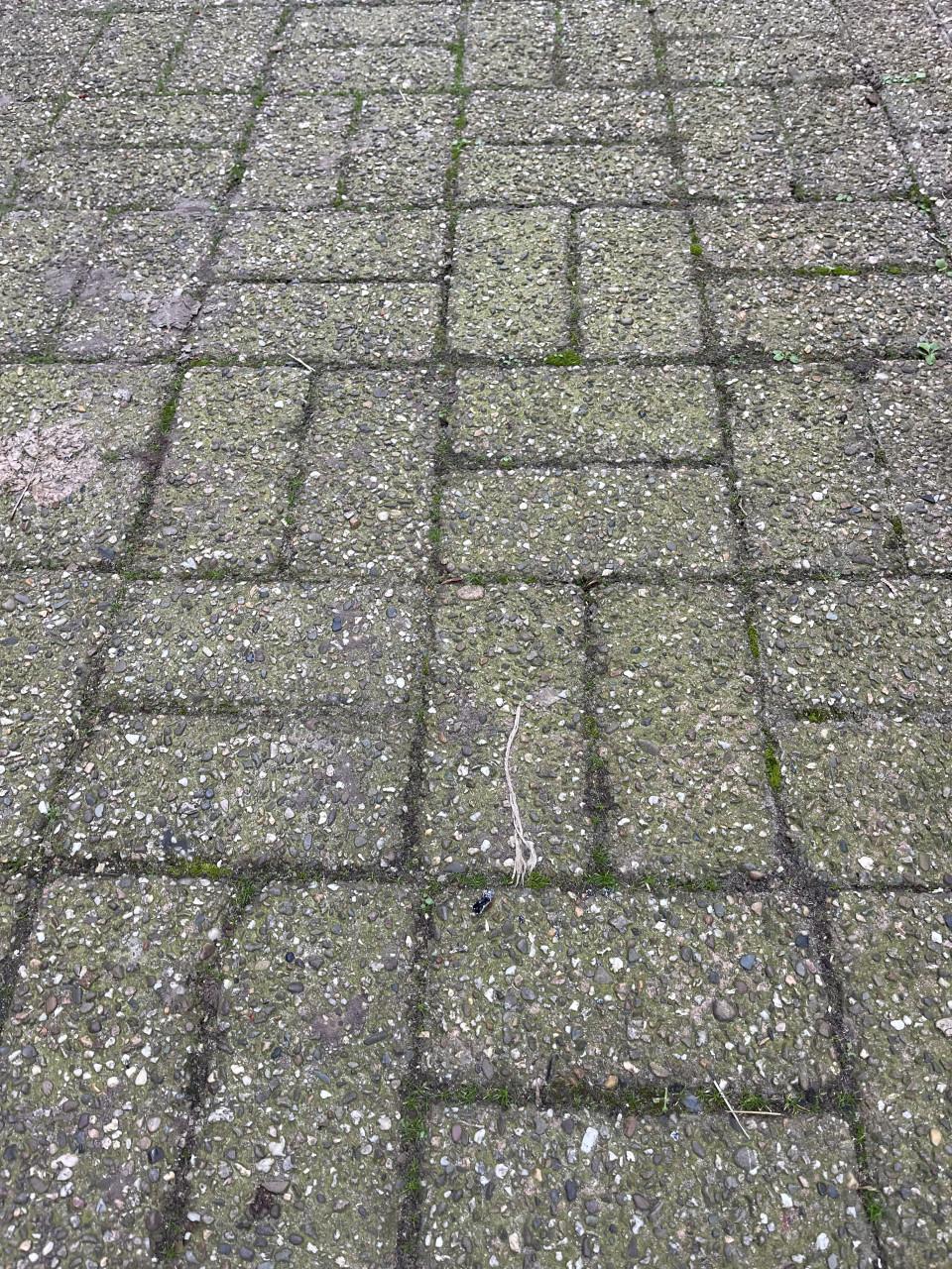 Klinkers gratis op te halen