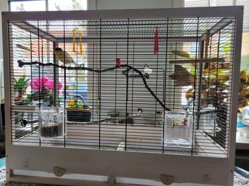 Mooie vogelkooi inclusief jonge kanarie.