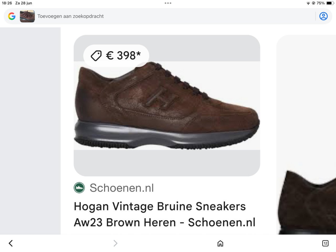 Hogan herenschoenen maar 43