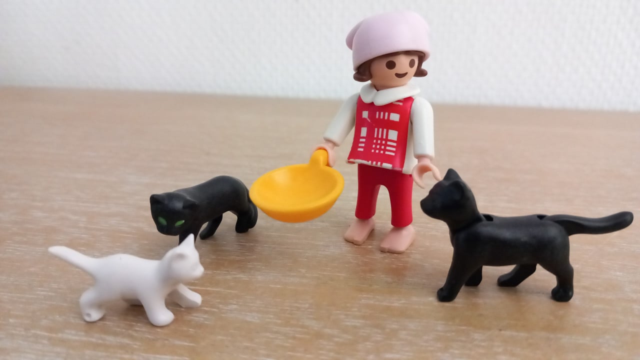 Playmobil meisje met poesjes