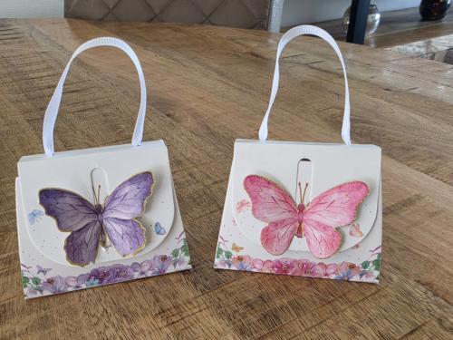 Leuke mini kado tasje🦋
