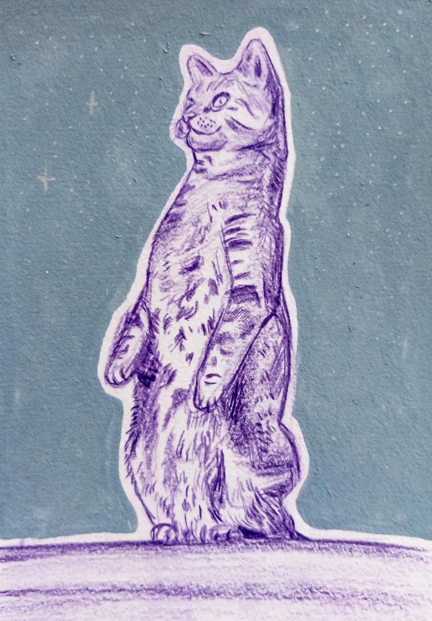 Huisdierportretten | op maat gemaakt portret voor hond, kat, of knaagdier