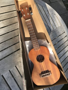 Ukelele