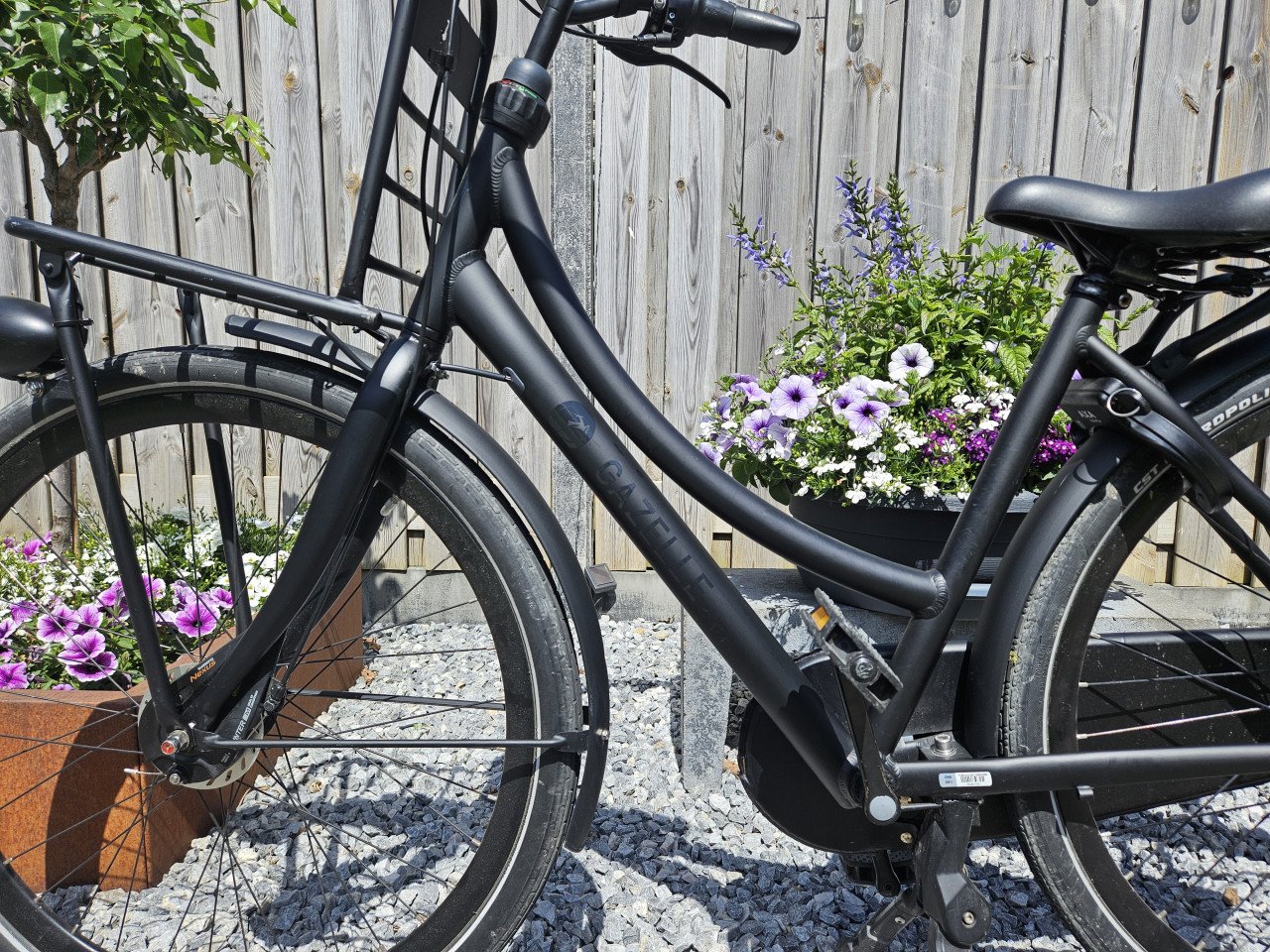 Gazelle dames/meisjes transportfiets mat zwart