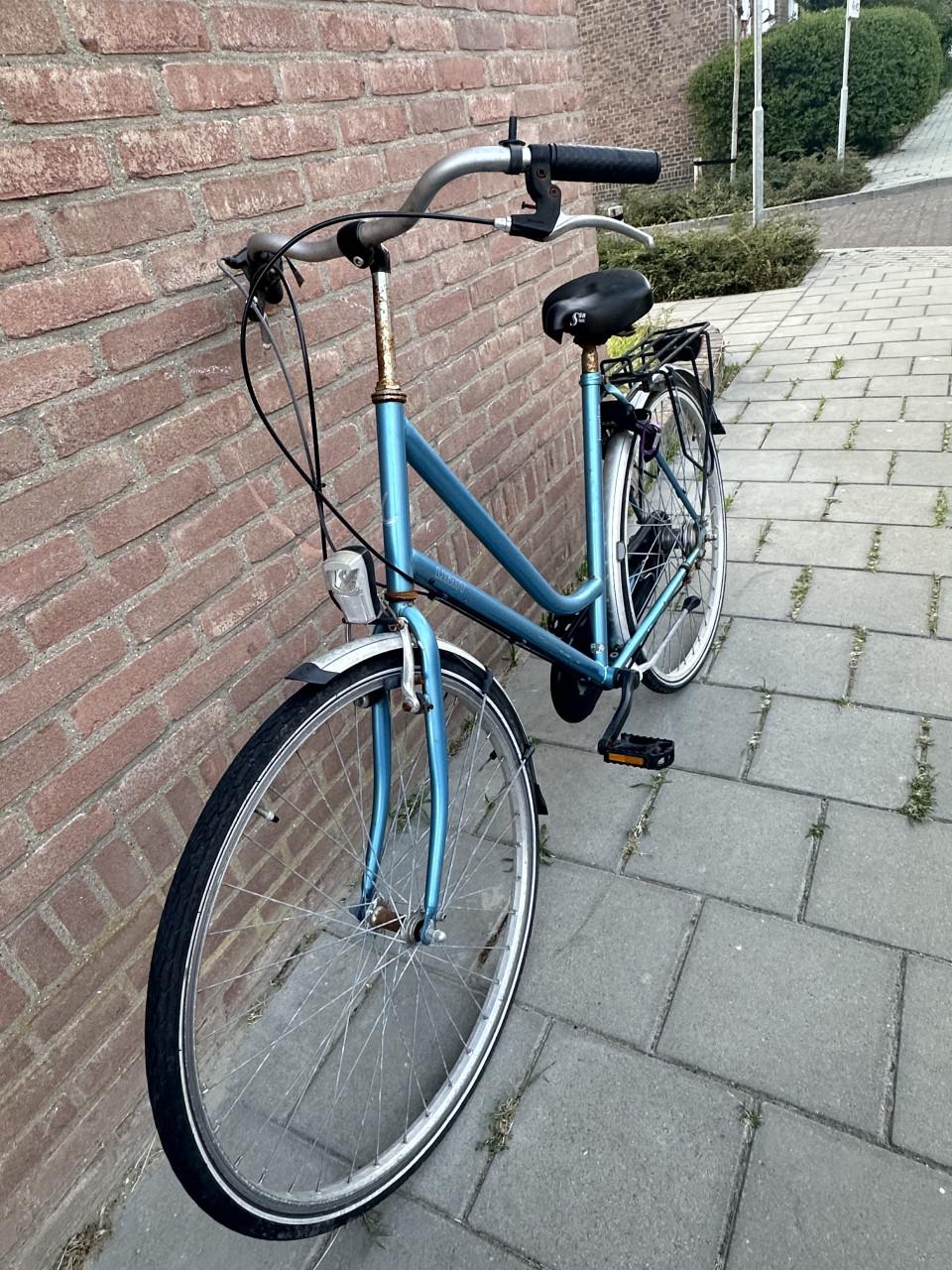 Opknapper dames Limit Impulse