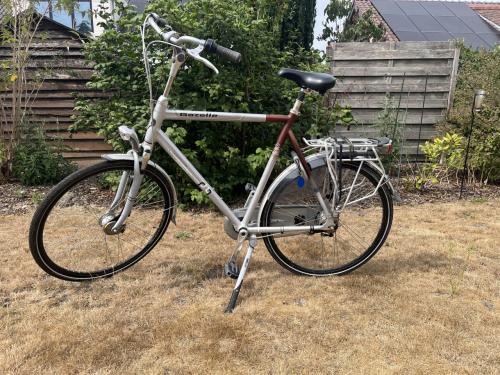 Gazelle chamonix heren fiets