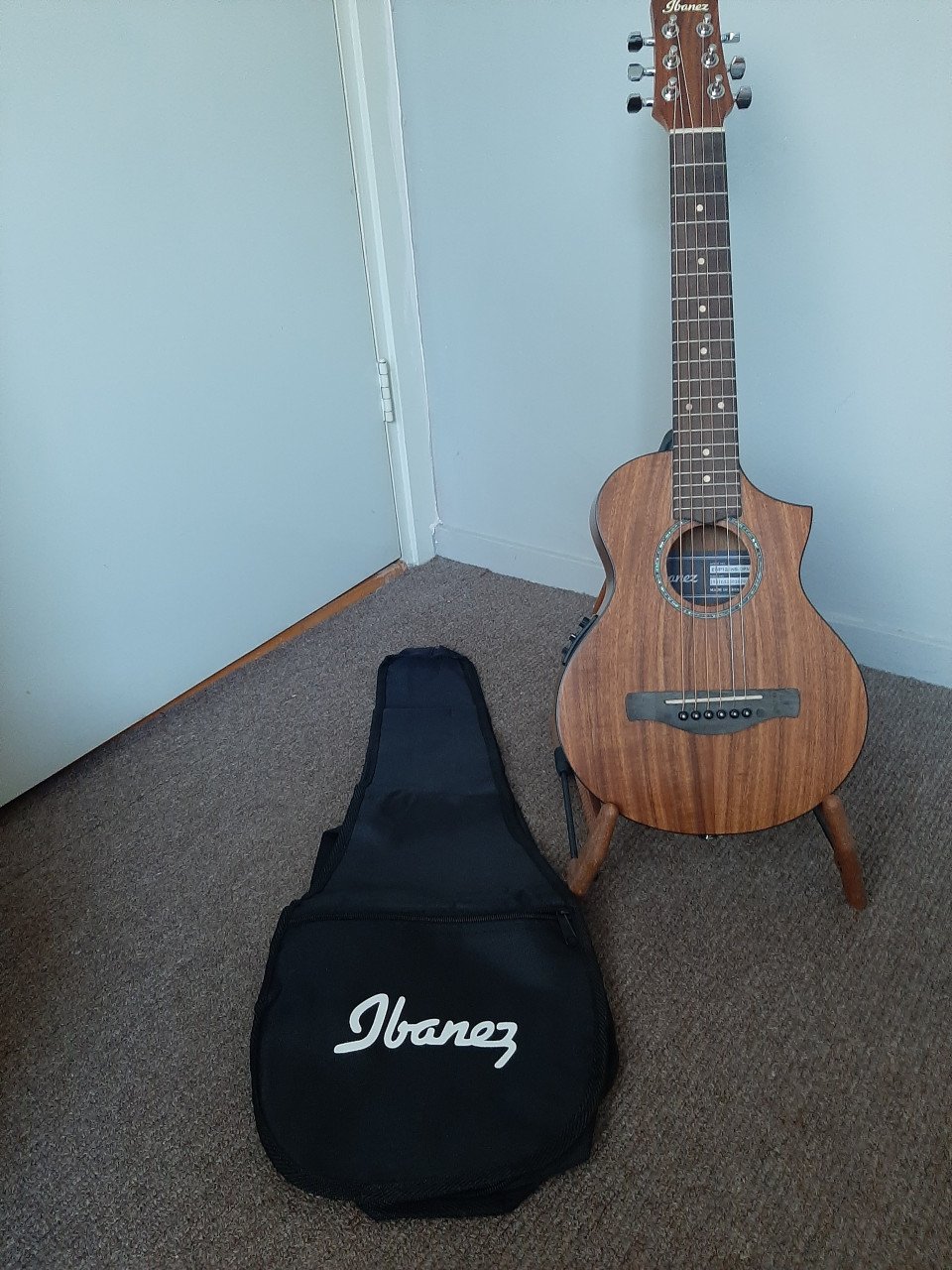 Ibanez EWP Series EWP12WB Electric Acoustic travel guitar
