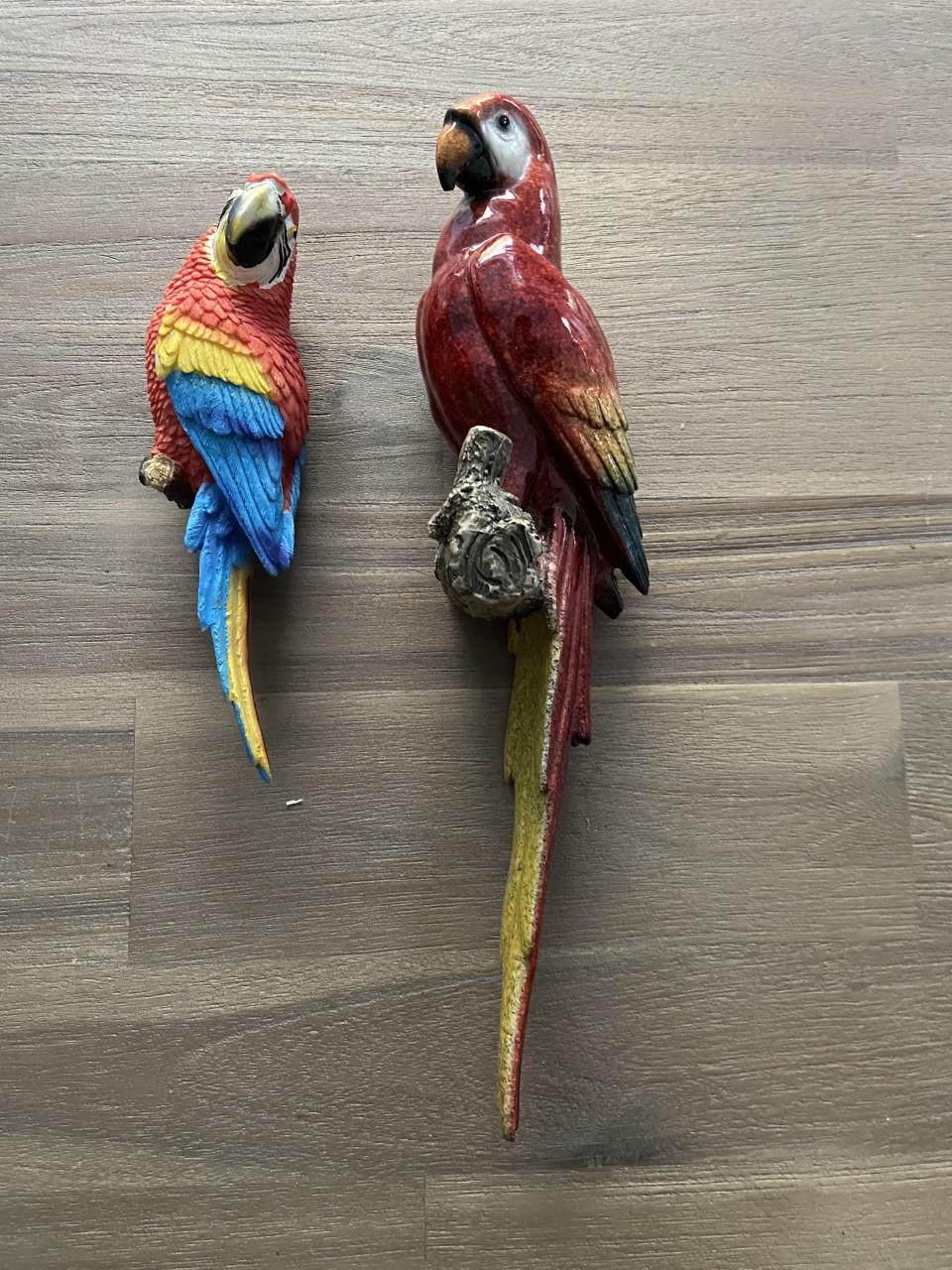 2 leuke papegaaien voor aan de muur