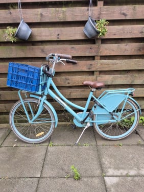 Kinderfiets dames 24