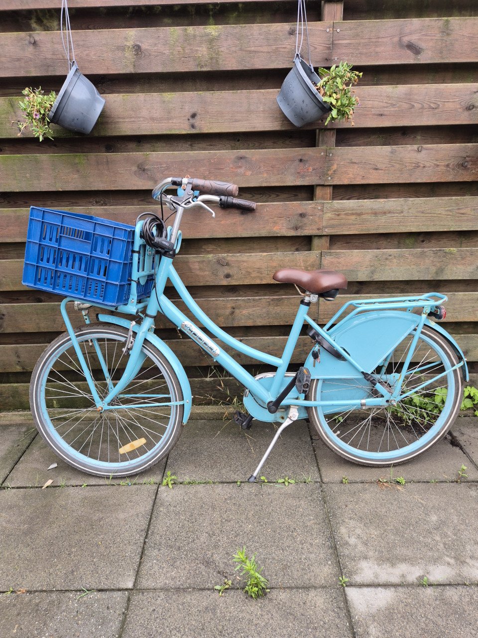 Kinderfiets dames 24