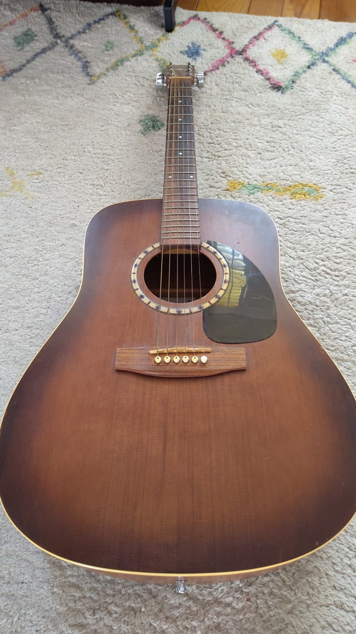 Art & Lutherie Cedar Dreadnought