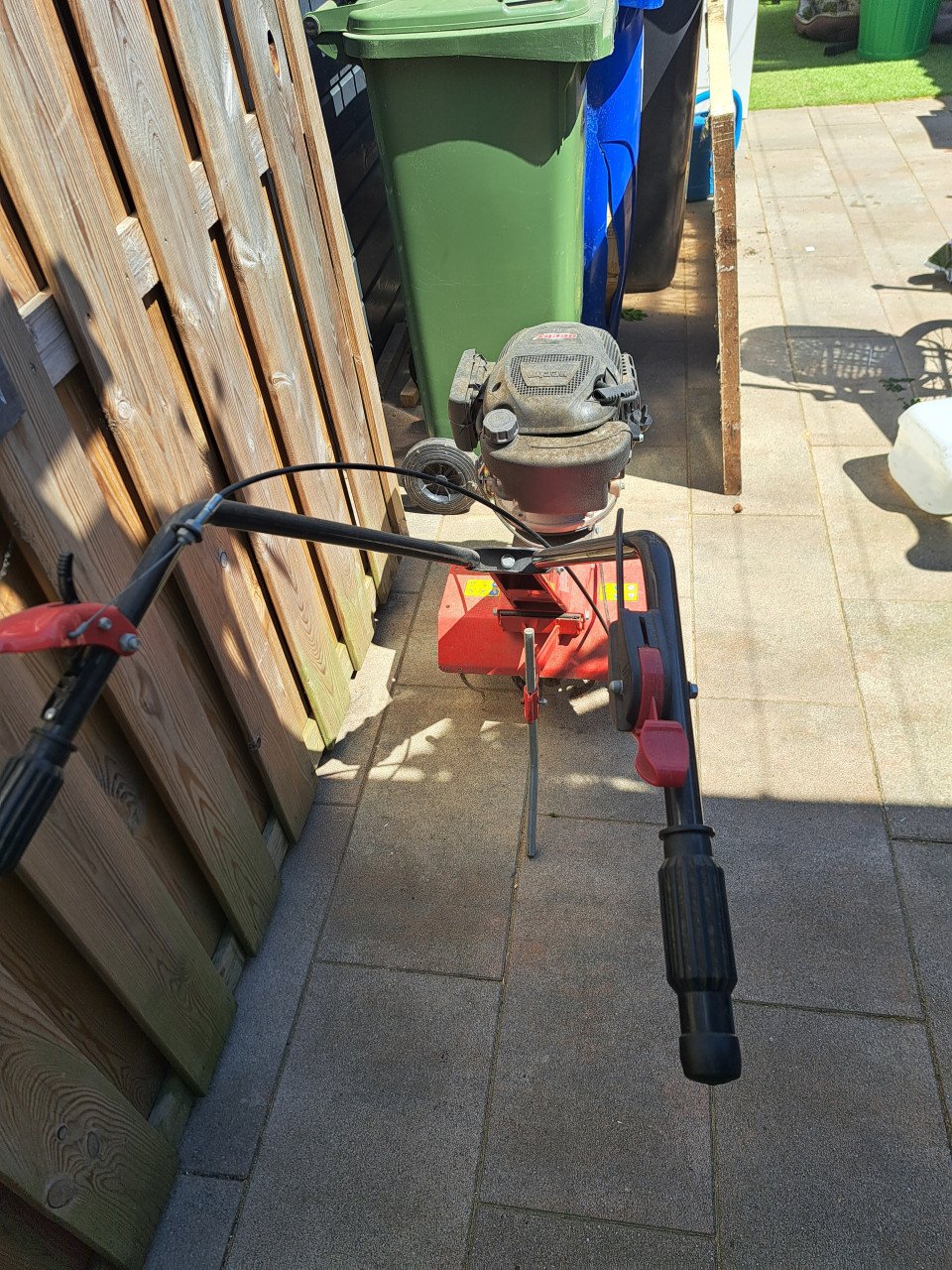 Tuinfrees